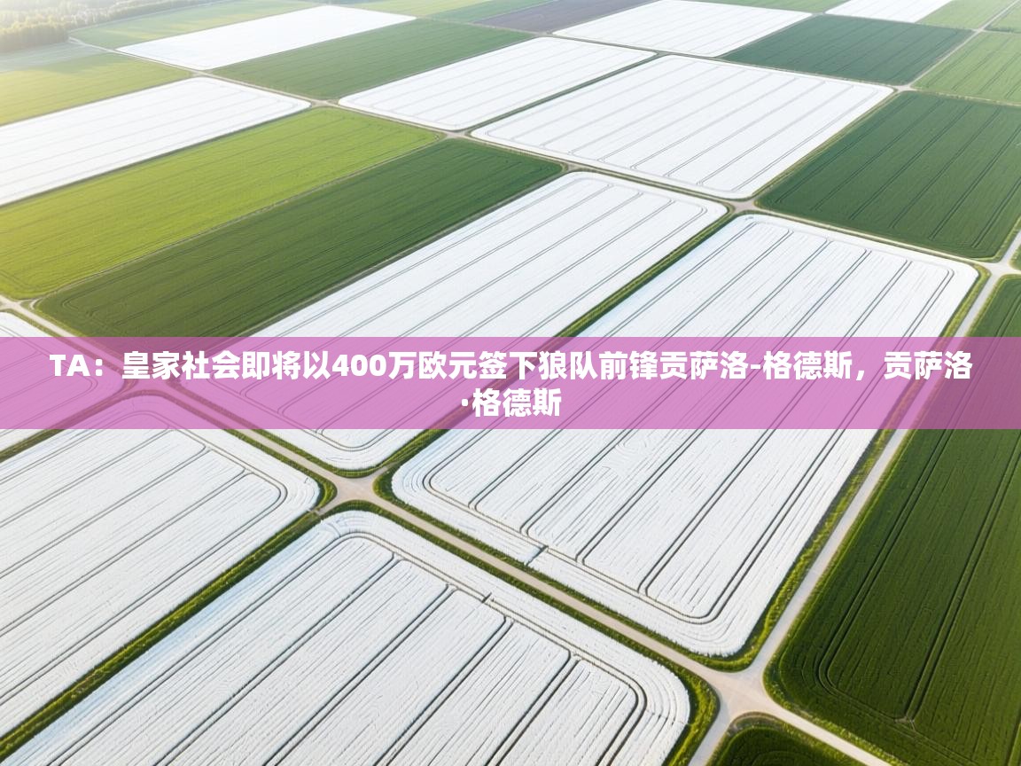 TA:皇家社会即将以400万欧元签下狼队前锋贡萨洛-格德斯,贡萨洛·格德斯 第1张