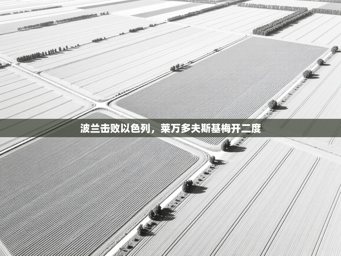 波兰击败以色列，莱万多夫斯基梅开二度  第1张